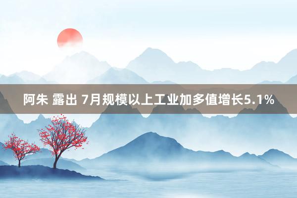 阿朱 露出 7月规模以上工业加多值增长5.1%