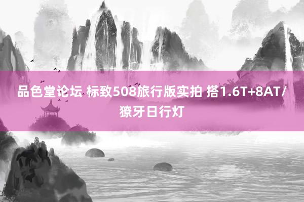 品色堂论坛 标致508旅行版实拍 搭1.6T+8AT/獠牙日行灯