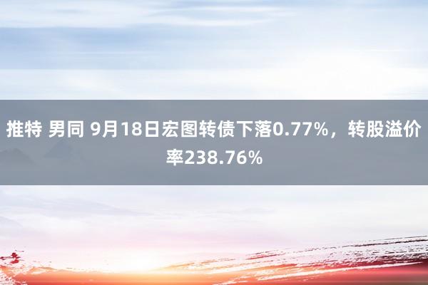 推特 男同 9月18日宏图转债下落0.77%，转股溢价率238.76%