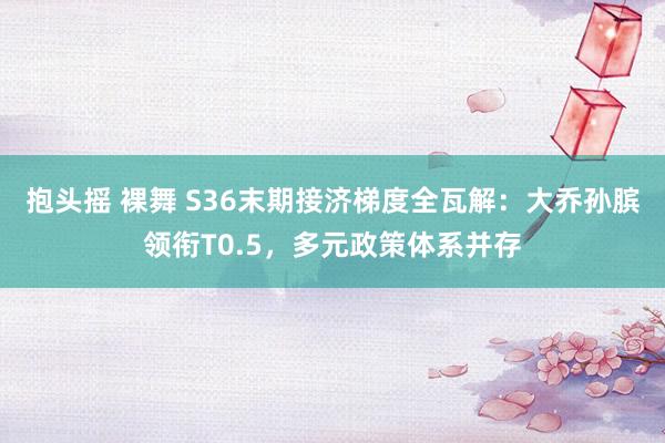 抱头摇 裸舞 S36末期接济梯度全瓦解：大乔孙膑领衔T0.5，多元政策体系并存