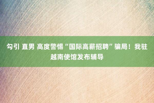 勾引 直男 高度警惕“国际高薪招聘”骗局！我驻越南使馆发布辅导