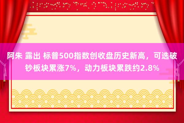 阿朱 露出 标普500指数创收盘历史新高，可选破钞板块累涨7%，动力板块累跌约2.8%