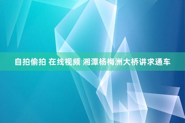 自拍偷拍 在线视频 湘潭杨梅洲大桥讲求通车