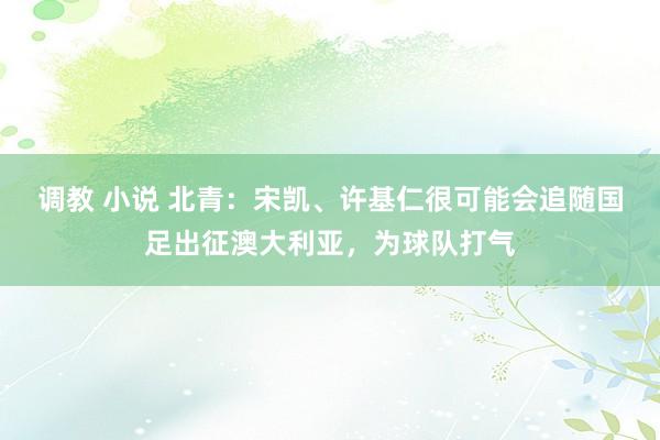 调教 小说 北青：宋凯、许基仁很可能会追随国足出征澳大利亚，为球队打气