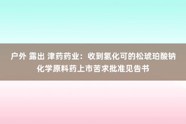 户外 露出 津药药业：收到氢化可的松琥珀酸钠化学原料药上市苦求批准见告书