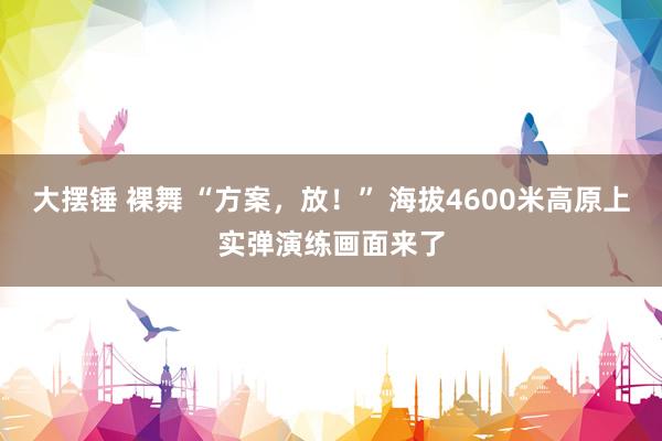 大摆锤 裸舞 “方案，放！” 海拔4600米高原上实弹演练画面来了