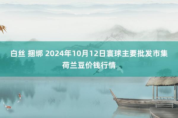 白丝 捆绑 2024年10月12日寰球主要批发市集荷兰豆价钱行情