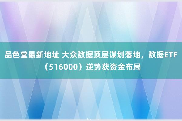 品色堂最新地址 大众数据顶层谋划落地，数据ETF（516000）逆势获资金布局