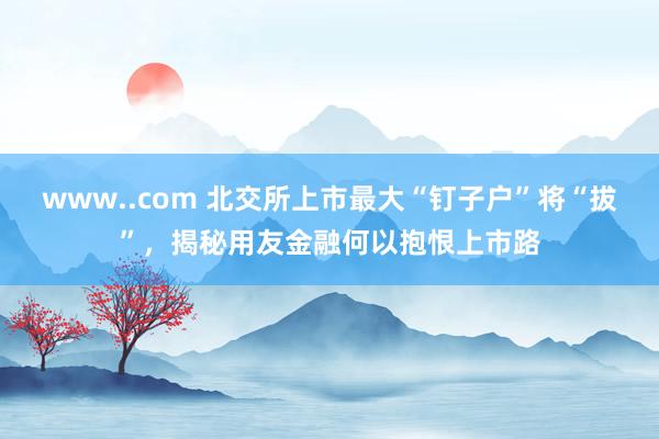 www..com 北交所上市最大“钉子户”将“拔”，揭秘用友金融何以抱恨上市路