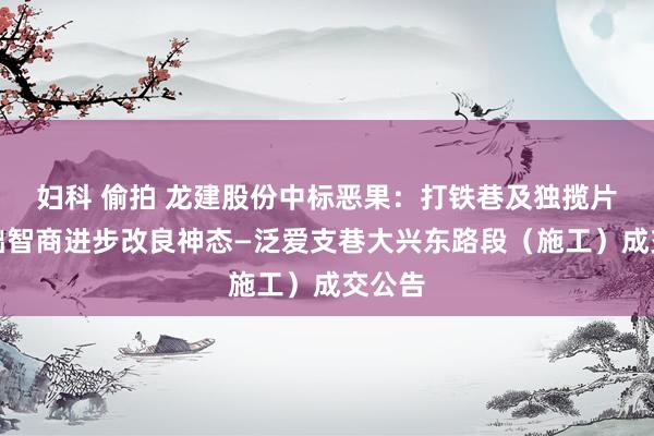 妇科 偷拍 龙建股份中标恶果：打铁巷及独揽片区基础智商进步改良神态—泛爱支巷大兴东路段（施工）成交公告