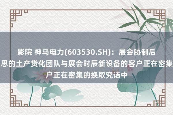 影院 神马电力(603530.SH)：展会胁制后，公司北好意思的土产货化团队与展会时辰新设备的客户正在密集的换取究诘中