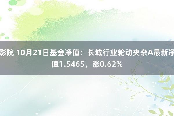 影院 10月21日基金净值：长城行业轮动夹杂A最新净值1.5465，涨0.62%