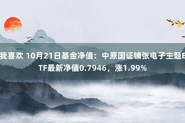 我喜欢 10月21日基金净值：中原国证铺张电子主题ETF最新净值0.7946，涨1.99%