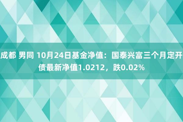 成都 男同 10月24日基金净值：国泰兴富三个月定开债最新净值1.0212，跌0.02%