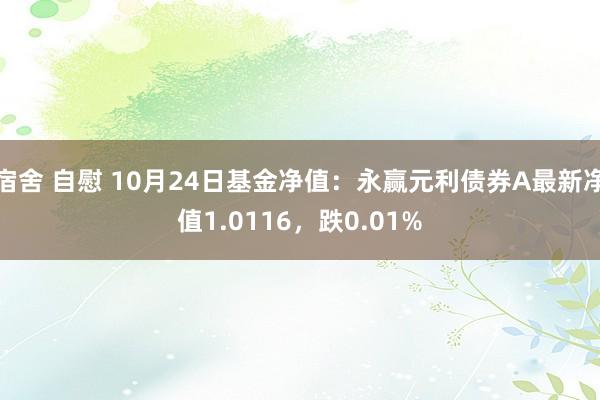 宿舍 自慰 10月24日基金净值：永赢元利债券A最新净值1.0116，跌0.01%