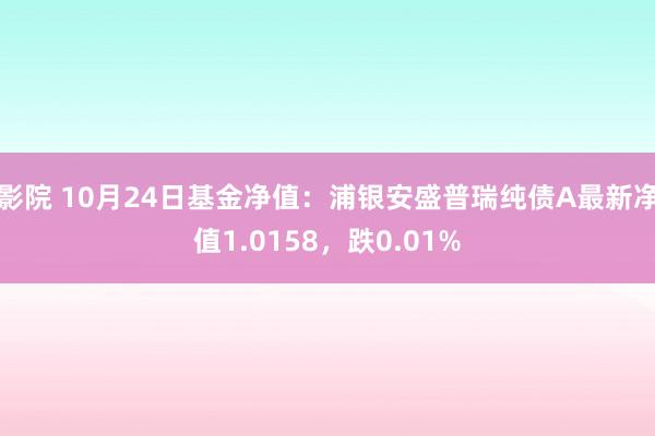 影院 10月24日基金净值：浦银安盛普瑞纯债A最新净值1.0158，跌0.01%