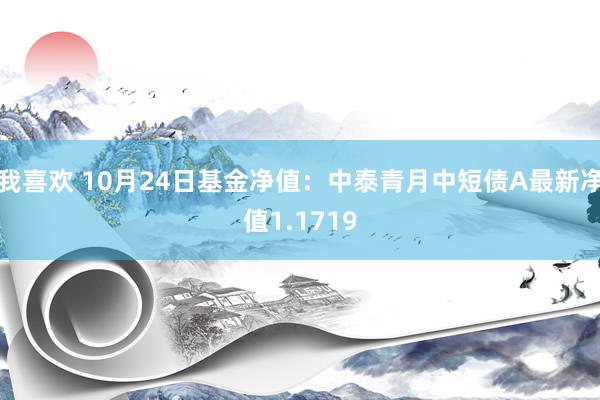 我喜欢 10月24日基金净值：中泰青月中短债A最新净值1.1719