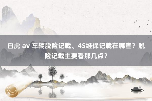 白虎 av 车辆脱险记载、4S维保记载在哪查？脱险记载主要看那几点？