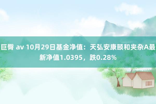 巨臀 av 10月29日基金净值：天弘安康颐和夹杂A最新净值1.0395，跌0.28%