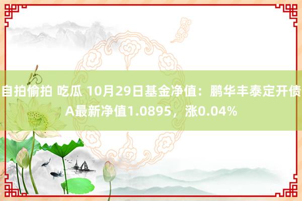 自拍偷拍 吃瓜 10月29日基金净值：鹏华丰泰定开债A最新净值1.0895，涨0.04%