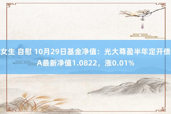 女生 自慰 10月29日基金净值：光大尊盈半年定开债A最新净值1.0822，涨0.01%