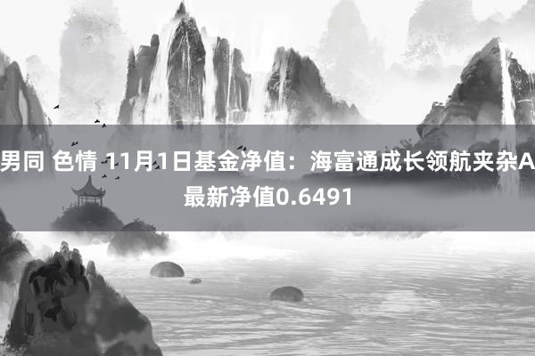 男同 色情 11月1日基金净值：海富通成长领航夹杂A最新净值0.6491