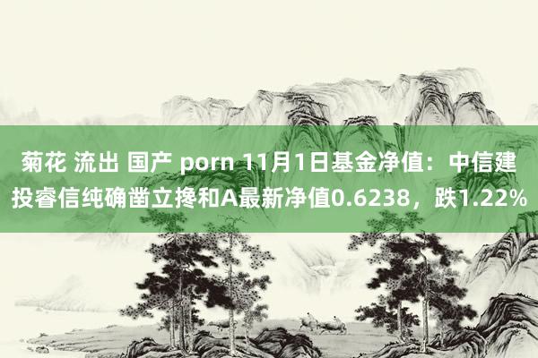 菊花 流出 国产 porn 11月1日基金净值：中信建投睿信纯确凿立搀和A最新净值0.6238，跌1.22%