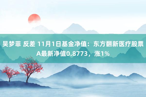 吴梦菲 反差 11月1日基金净值：东方翻新医疗股票A最新净值0.8773，涨1%