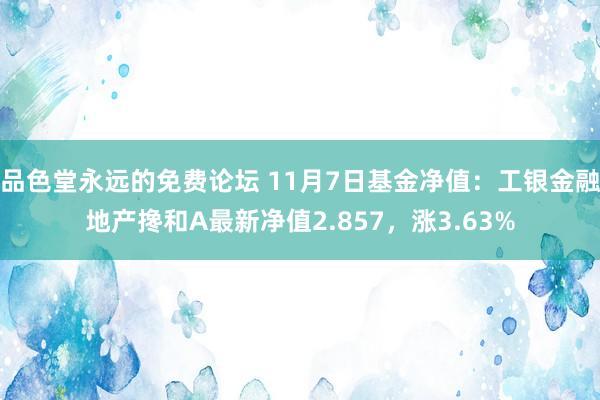 品色堂永远的免费论坛 11月7日基金净值：工银金融地产搀和A最新净值2.857，涨3.63%