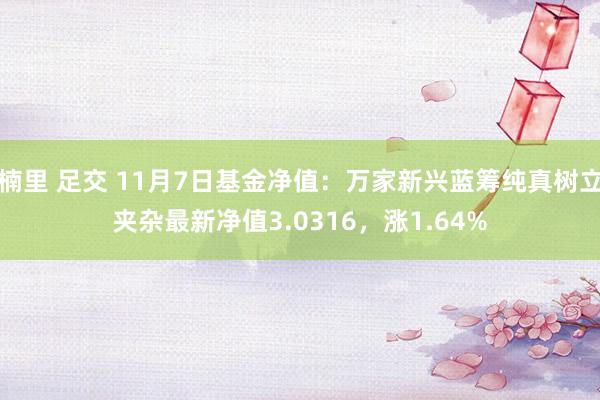 楠里 足交 11月7日基金净值：万家新兴蓝筹纯真树立夹杂最新净值3.0316，涨1.64%