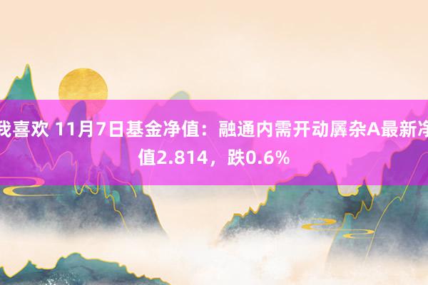 我喜欢 11月7日基金净值：融通内需开动羼杂A最新净值2.814，跌0.6%